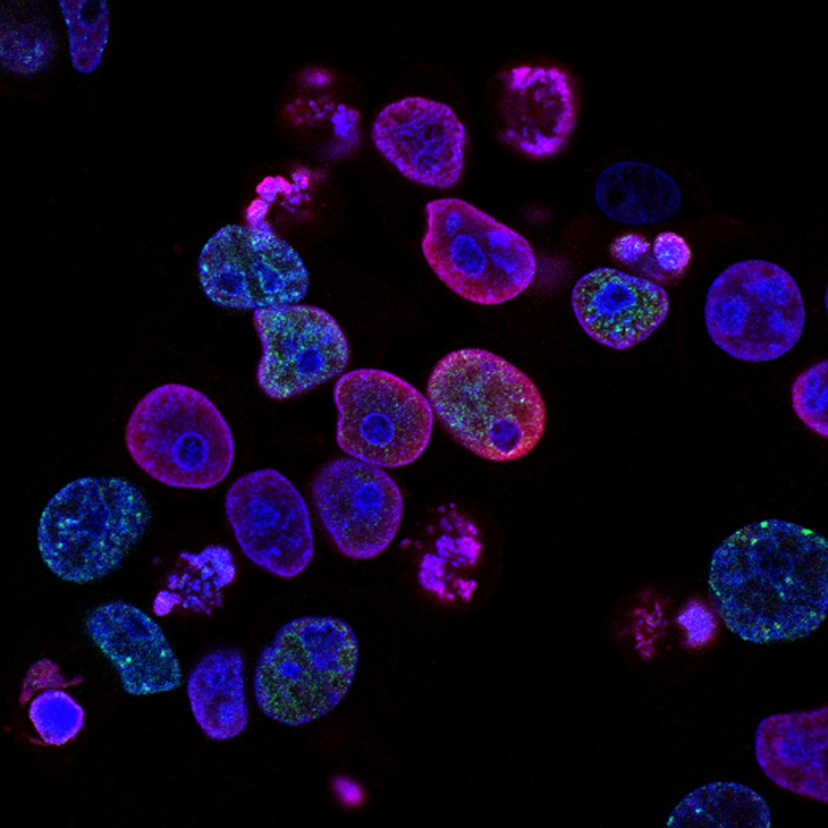 Anthropic AI for Science life sciences